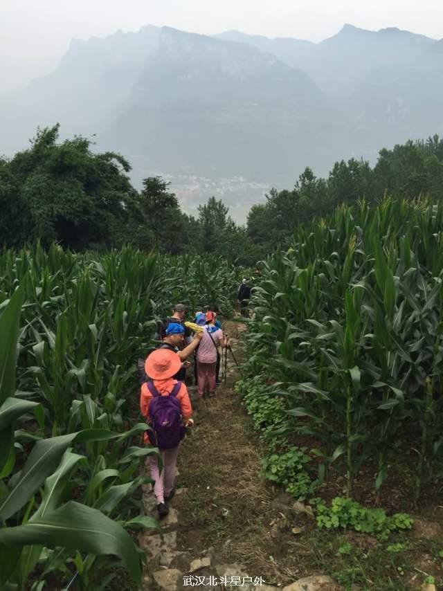 b1879081fe724d100fee0767681baded_big