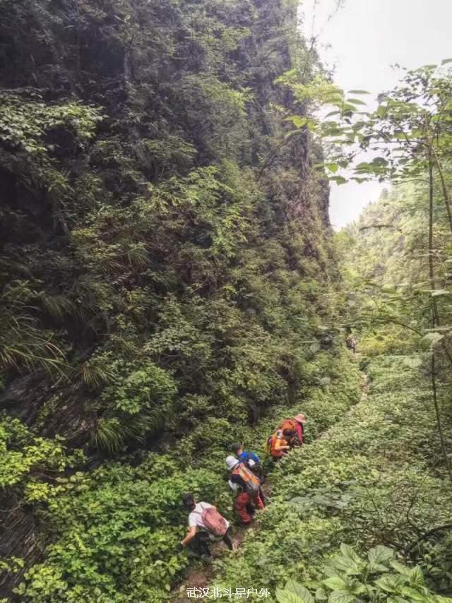 bc7deec120dbf354362ca023af8f11de_big