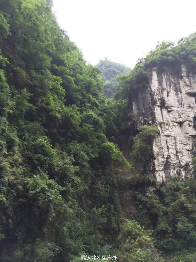 c8c2626f3531d749b8c7cbc72c72fba0_big