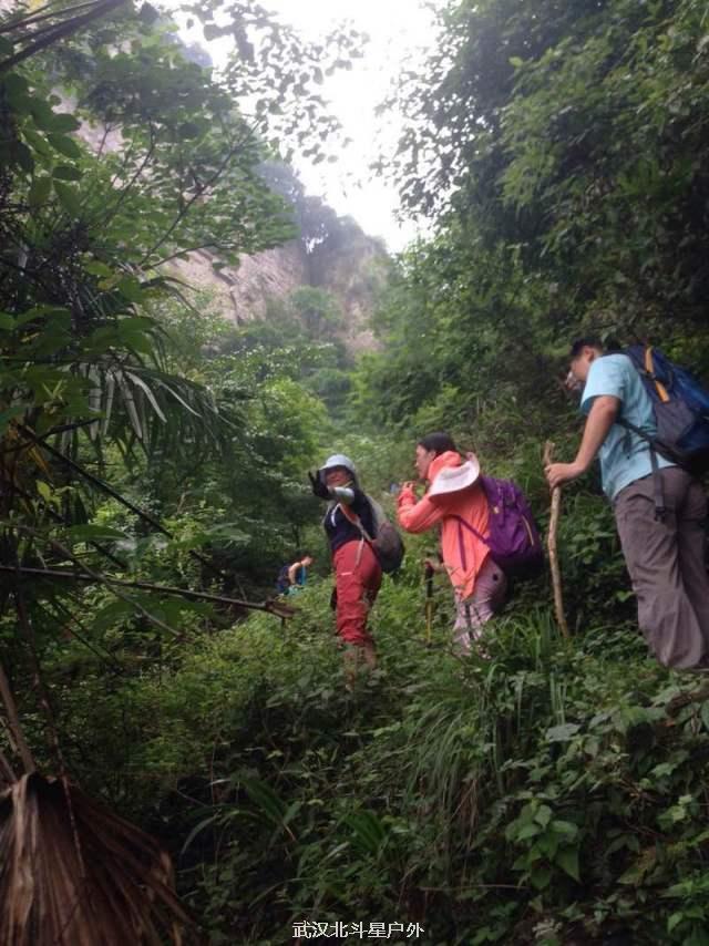 c41d290a5494e9b43d4cd0a9a7d06fc3_big