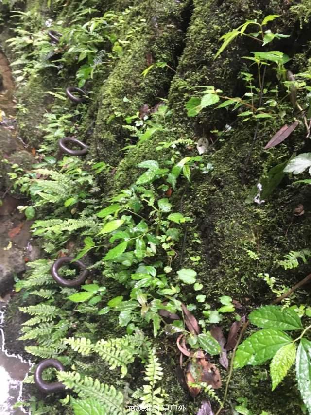 c724474b11d06cf99e8b8fce069f4e9d_big