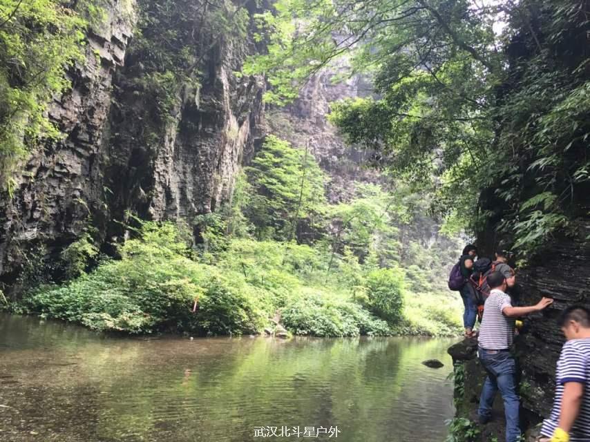 db32df1a0c37c17cf7df31278e12d4bf_big