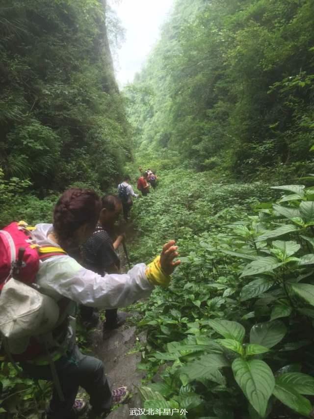 e49c1ef5ff379146b252e9b68e96b503_big