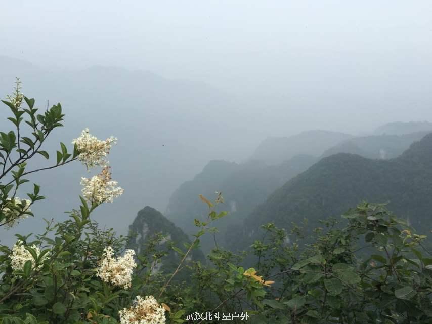 f327b866492364cd601e58ab417d9dfe_big