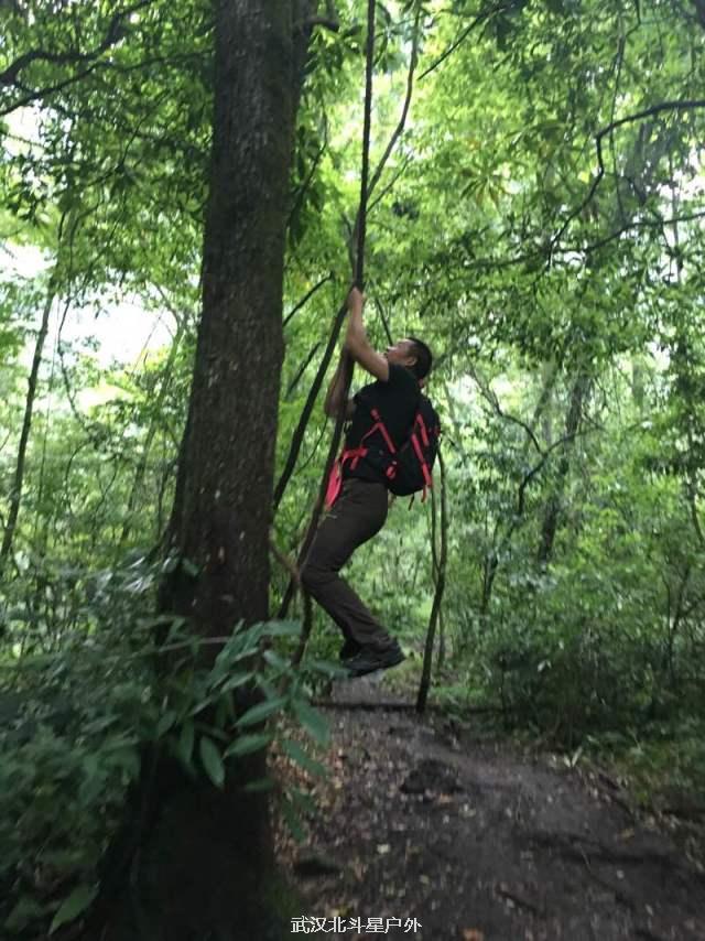 fa150eb84f8e047726e989fa866e62fb_big