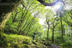 【周日徒步】5月17号黄陂素山寺 探幽峡谷 徒步登山1日行