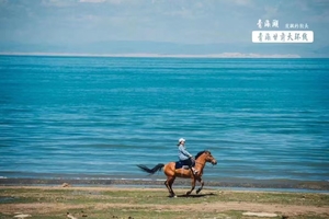 【青甘大环线11天】7.18-28/8.8-18日青海湖、门源、敦煌 、鸣沙山、翡翠湖、 张掖、茶卡盐湖VIP大巴1日游