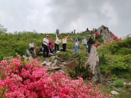 【周日徒步赏花】4.12号（周日）杜鹃谷-龙船寨 徒步穿越-赏高山杜鹃