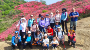 【周四/周六徒步赏花】4.23/25号号麻城吊桥沟徒步+赏万亩高山杜鹃/紫藤花海