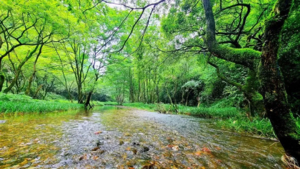 【周六休闲•小九寨 可单飞】6.13 咸宁小九寨，秘境焕新线路升级