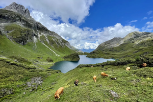 【南极洛徒步5日】南极洛+飞来寺+阿布吉措秘境之旅5日游（丽江集合）