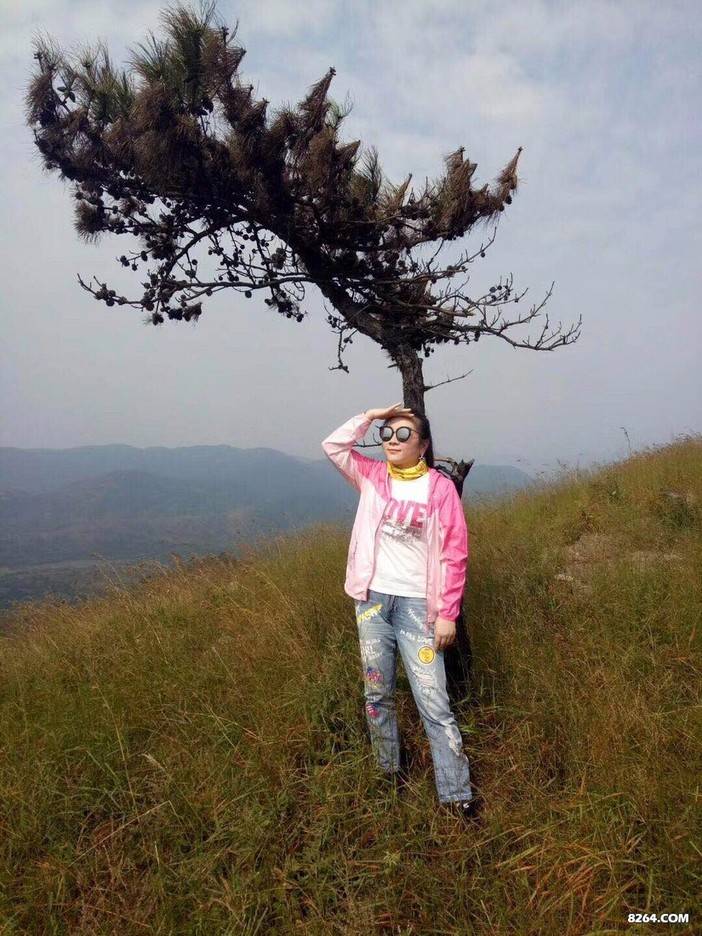 北斗星--龙王尖的草黄了没？？！！！看这里---游记