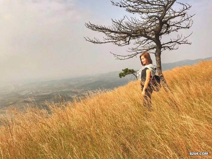 北斗星--龙王尖的草黄了没？？！！！看这里---游记