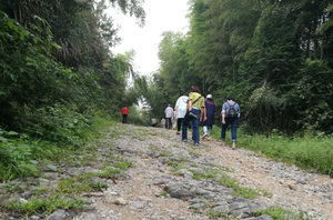 【周六·赤壁雪峰山】 12月20日 登雪峰山 鸟瞰陆水湖八百岛 徒步登山观景