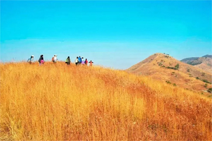 【周六、周日龙王尖-亲子版】12月20、21日秋摄龙王尖，赏高山草甸， 寻百年古寨1日徒步-