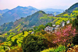 【梯田花海】3.20晚-22號漫步新安江，觀石潭油菜花，訪屯溪老街品美食休閑3日游