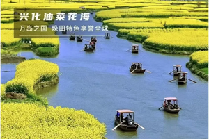 【烟花三月下扬州】3月28-31日/4月3-6号瘦西湖-兴化水上花海-水上森林-夫子庙秦淮河-牛首山休闲4日户外游