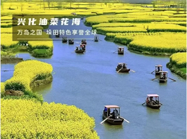 【煙花三月下?lián)P州】3月28-31日/4月3-6號(hào)瘦西湖-興化水上花海-水上森林-夫子廟秦淮河-牛首山休閑4日戶外游