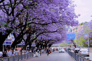 【凉山索玛●泸沽湖】4月20日-28日从大凉索玛到云南，邛海-泸沽湖-虎跳峡-白水台-巴拉格宗双飞9日-