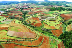 【行摄滇南】东川红土地｜元阳梯田｜罗平油菜花｜九龙瀑布｜弥勒东风韵｜建水古城｜抚仙湖7天6晚