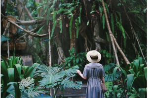 【象往版纳】野象谷｜勐泐大佛寺｜中科院植物园｜雨林徒步探秘｜曼远傣族村寨｜曼听公园｜般若寺｜湄公河星光夜市｜5天精品团