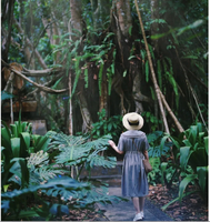 【象往版納】野象谷｜勐泐大佛寺｜中科院植物園｜雨林徒步探秘｜曼遠(yuǎn)傣族村寨｜曼聽公園｜般若寺｜湄公河星光夜市｜5天精品團(tuán)