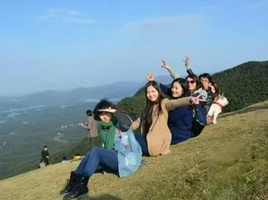 【清明·赤壁雪峰山】 4月6日 登雪峰山 鸟瞰陆水湖八百岛 徒步挖笋