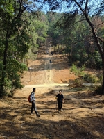 【会员免费徒步】4月12号（周日）江夏青龙山市内轻徒步一日游（限45人报名）