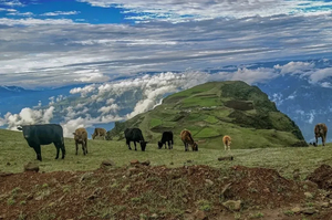 【新线强推•小众人文】5月10-17日走进川滇秘境，探秘僰人悬棺，一脚踏三省8日行（动车往返）-