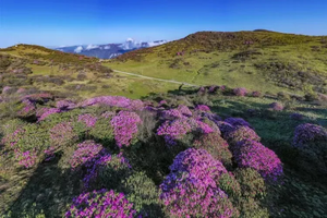 【新线-醉美渝东北】5月1-5日探秘红池坝 兰英峡谷 万州大瀑布 天下龙缸 宁厂古镇 天下梯城5日行（VIP大巴）