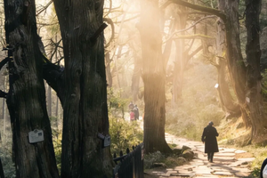 【5月1-5日】古蜀道-金牛古道 | 黑神话、中国版朝圣之路、天下第一古道（2+1豪华大巴）