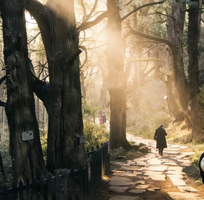 【5月1-5日】古蜀道-金牛古道 | 黑神话、中国版朝圣之路、天下第一古道（2+1豪华大巴）