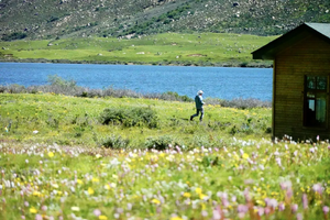 【格聂大环】 轻装徒步格聂花海雪山，尽享野奢烤肉火锅（7日）