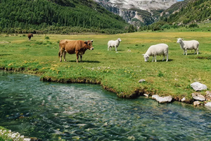 2026【赴约稻亚7日】稻城亚丁全景环线｜7天打卡雪山、藏寨、草原与信仰