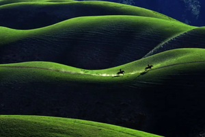 【伊花独景2-8人小团8日游】赛里木湖、六角街、琼库什台、喀拉峻草原、那拉提空中草原、独库中段、北段、巴音布鲁克、独子山