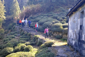 【五一●婺源轻徒步】5.1-3 徒步徽饶古道弦高古城水墨徽韵小众轻户外
