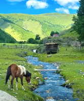 【独家新线●千湖山秘境】6月6-14日飞机往返云南香格里拉、打卡《无极》《司藤》拍摄地，全年仅限1000人进入