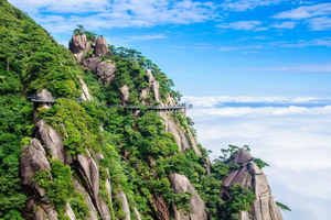 【端午节•三清山免票】6.19-21号|5A三清山|望仙谷|瑶里古城3日游