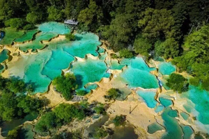 【7月18-24日】走进九寨|剑门关-九寨沟-黄龙-都江堰-乐山大佛-峨眉山好吃好玩八日游（2+1豪华大巴）