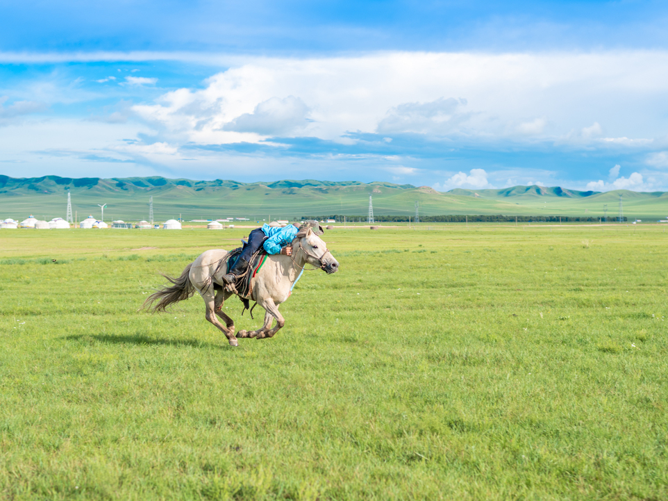 【北斗星-呼伦贝尔】世界上最好的草原 寻找诗和远方5
