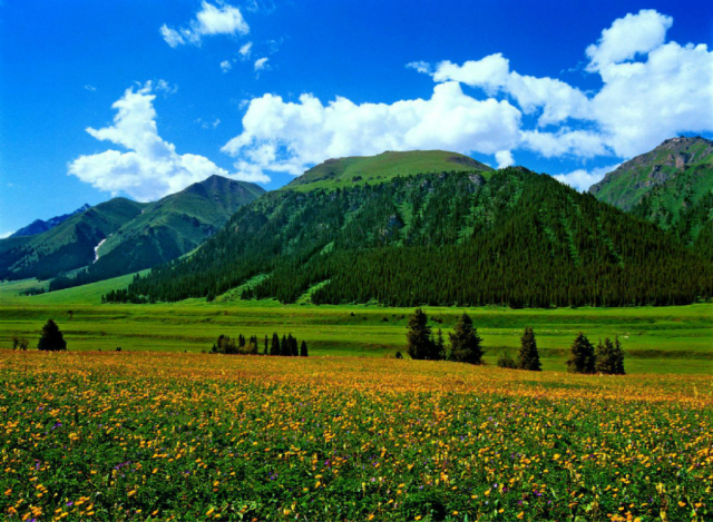 薰衣草 喀拉峻 巴音布鲁克 那拉提 夏特徒步 吐鲁番 独库公路全景游