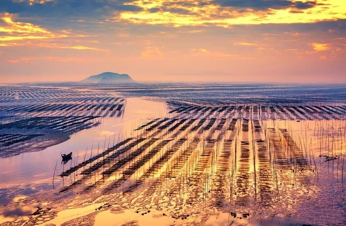 【国庆-霞浦海岛】10月2-6号 中国最美十大海岛 福建夏威夷 国际滩涂