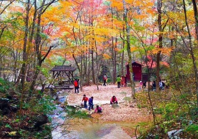 【北斗星-周末赏秋】11月2-3号 鹞落坪:漫步十里画廊