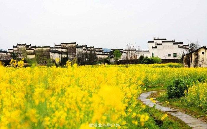 【北斗星-婺源春色】3月30-31号 中国最美乡村 行摄油菜花海2日游