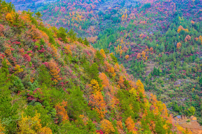 【北斗星-巫山红叶】11月29号-12月1号 船游巫峡 巴东秘境大面山红叶