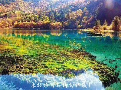 QQ图片20210319203156