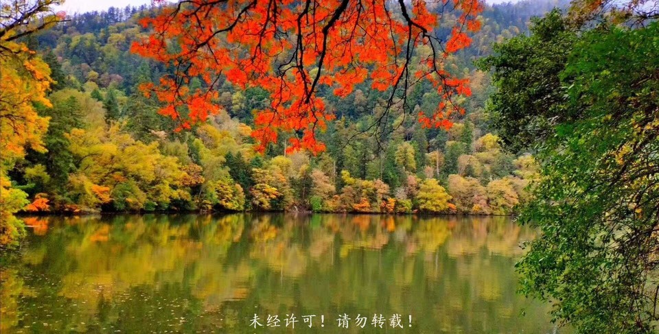 QQ图片20210319203217