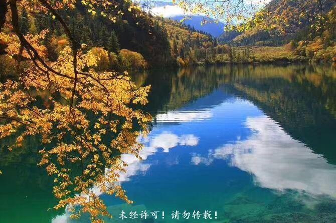 QQ图片20210319203224
