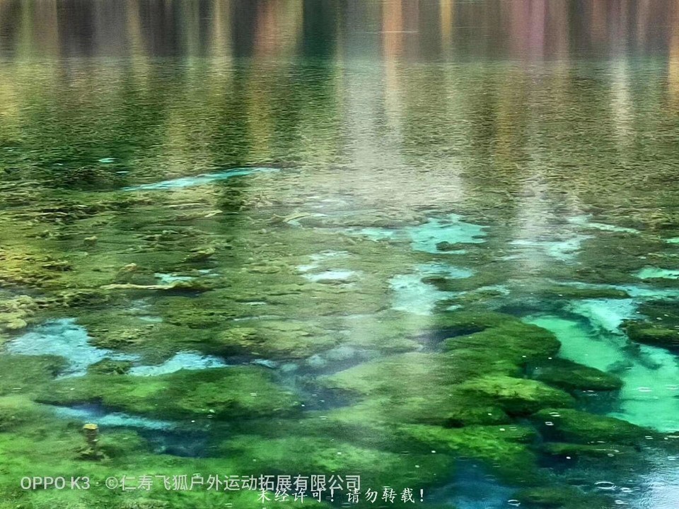 QQ图片20210319203208