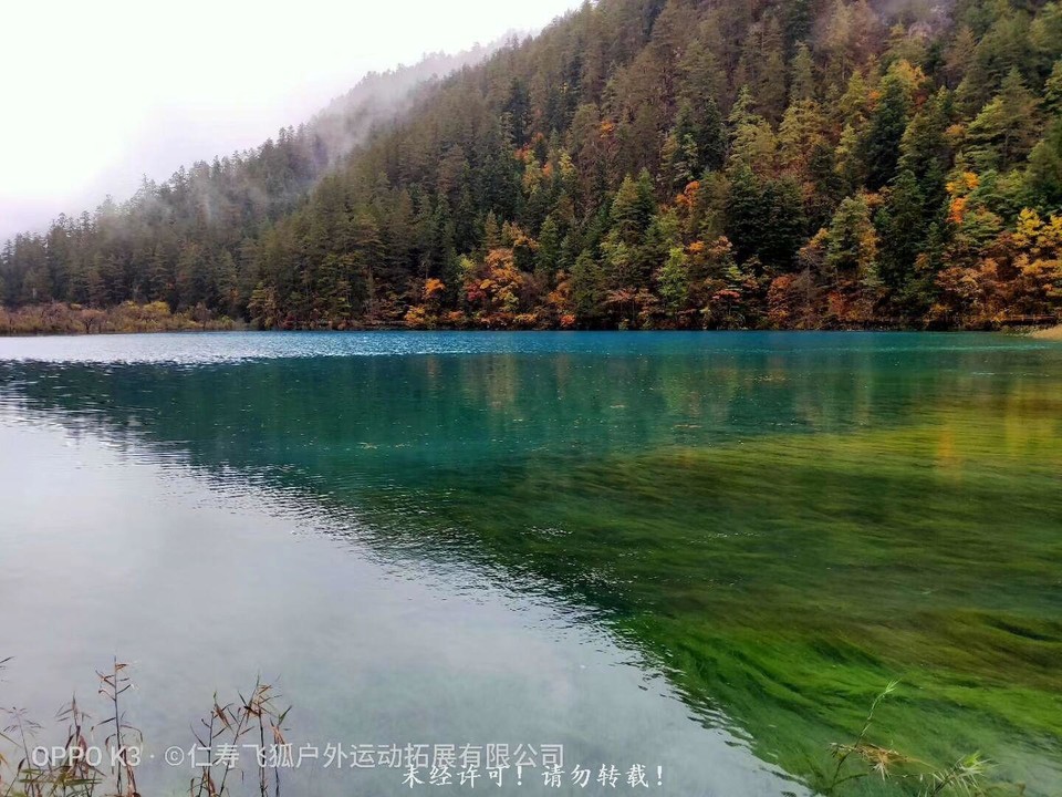 QQ图片20210319203245